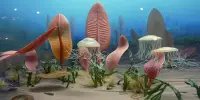 The First Animals Were Adapting, Not Dying, Before the Cambrian Explosion