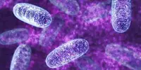 Scientist discovers Aging Signs in Mitochondria