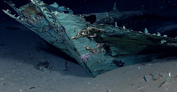 Shipwrecks