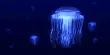 Watch This Gorgeous New Species of Flying Saucer-Like Jelly Swish Around In the Midnight Zone