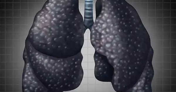 What is the Reason for Increase in Black Lung Disease?