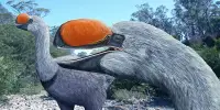 Australia Once Had 6-Foot Demon Ducks of Doom and Early Humans Stole Their Eggs