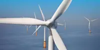 Wind Energy Efficiency is Improved by Bionic Wing Flaps