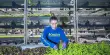 Bowery Opens a New Vertical Farm in Pennsylvania