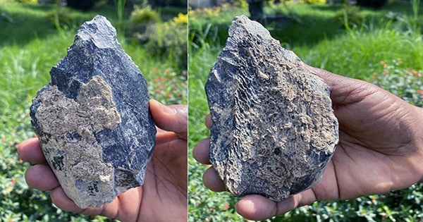 Earliest Hand Axes in Britain Were Not Crafted By Homo sapiens