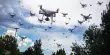 Swarming Drones Autonomously Navigate a Dense Forest (And Chase A Human)