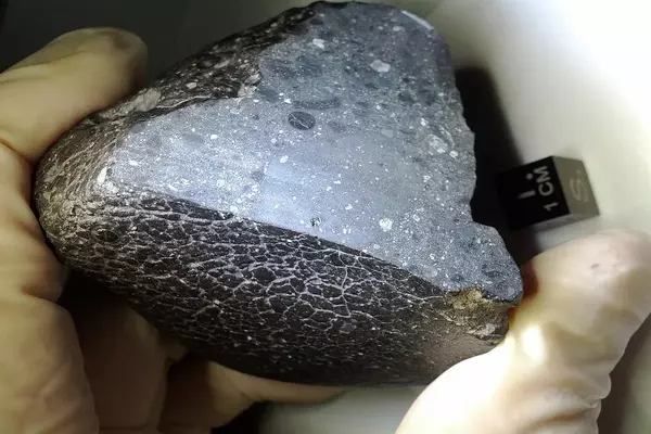 The-Origins-of-Earth-as-Revealed-by-a-Martian-Meteorite-1