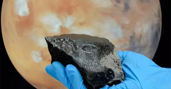 The Origins of Earth as Revealed by a Martian Meteorite