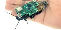 One Day, Solar-Powered Backpacks on Cyborg Cockroaches Might Aid in Search and Rescue