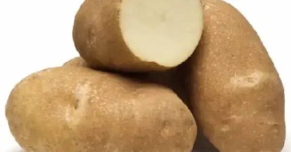A Pathogenic Bacterium in Potatoes has Produced a New Antibiotic