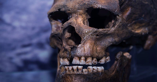 For About 3,000 Years, Neanderthals and Modern Humans May Have Coexisted