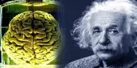 How a Jar of Kraft Miracle Whip Mayonnaise Became Home to Einstein’s Brain