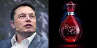 Musk begins selling “Burnt Hair” Fragrance and Has Already Made $1 Million