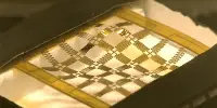 Natural Shapes are Autonomously Mimicked by an Artificial Soft Surface