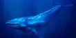 Giant Blue Whales Dance with the Wind to Find Food, as Revealed by Sound