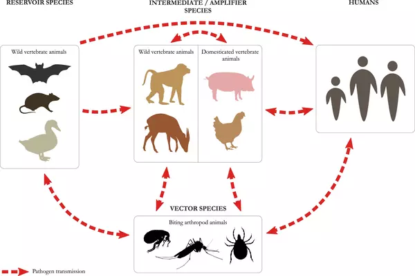 Mammal-Conflict-in-Harsh-Environments-beyond-Humans-1