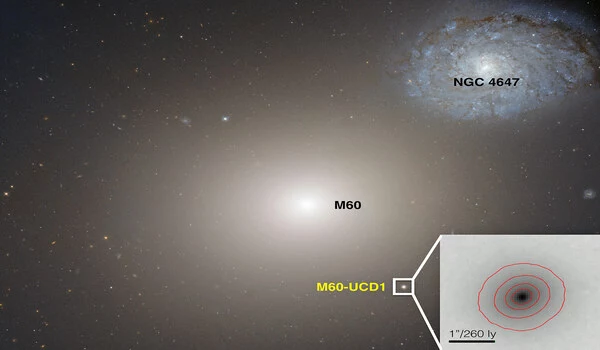 Midsize-Black-Hole-in-a-Dwarf-Galaxy-is-revealed-by-the-Death-of-a-Star-1
