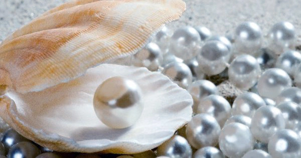 The Molecular Fingerprint of the Beautiful Pearls - QS Study