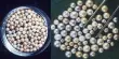 The Molecular Fingerprint of the Beautiful Pearls