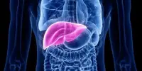 Potential for Liver Regeneration in an Old Disease