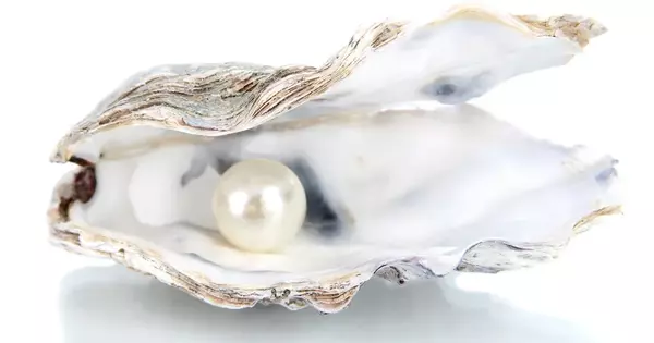 The Molecular Fingerprint of Beautiful Pearls
