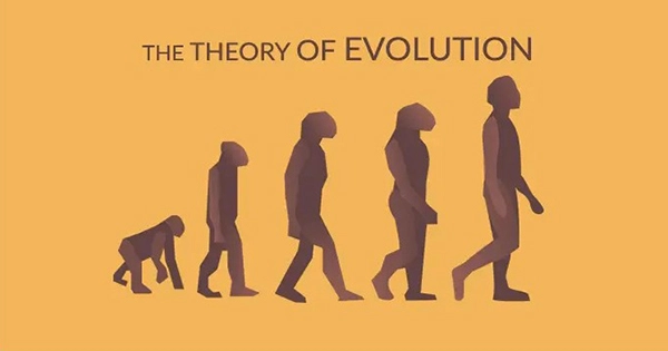Who is The Theory of Evolution Credited to?