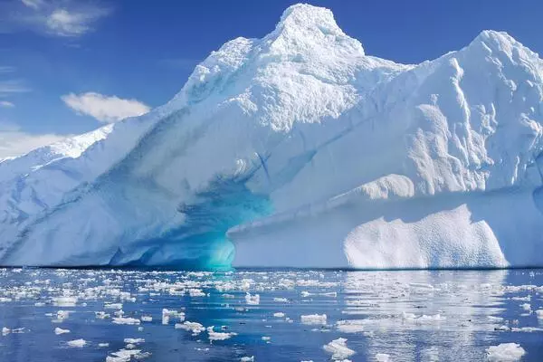 Biodiversity-is-becoming-Unbalanced-as-Ice-free-Antarctic-Areas-Expand-1
