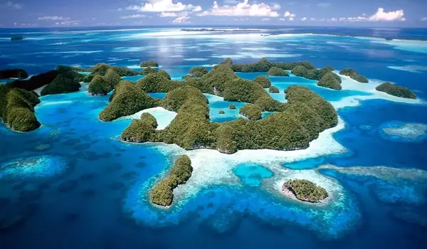 Heat-resistant-Corals-can-be-found-on-Palaus-Rock-Islands-1