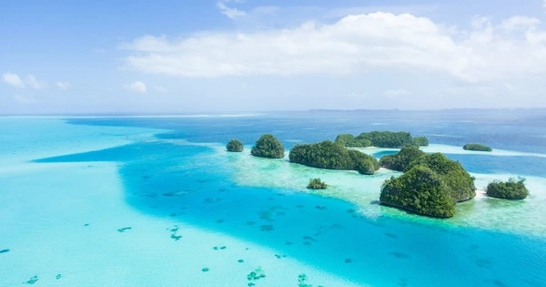 Heat-resistant Corals can be found on Palau’s Rock Islands