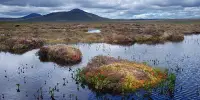 Low Marsh Emits More Carbon Dioxide as Temperatures Rise Than High Marsh