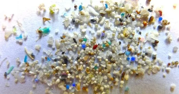 Microplastics may Exacerbate the Toxicity of other Pollutants