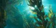 The Negative Effects of Warming Seas on Giant Kelp begin Early in Life