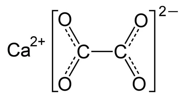 Calcium Oxalate