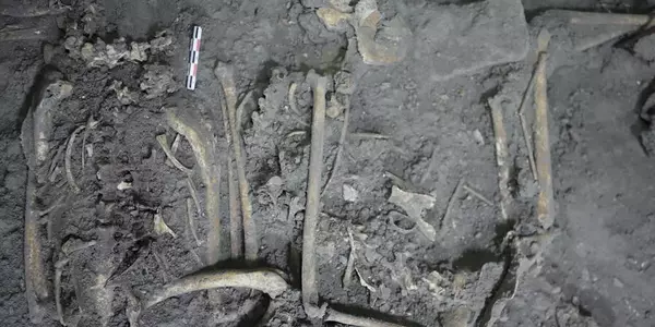 1,700-year-old spider monkey remains discovered in Teotihuacán, Mexico