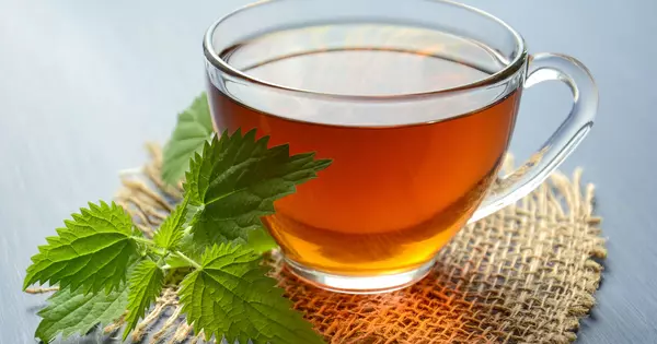 People with Specific Genetic Variants who Consume Green Tea Extract may get Liver Damage