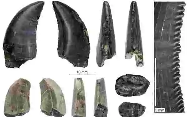 Fossils reveal dinosaurs of prehistoric Patagonia
