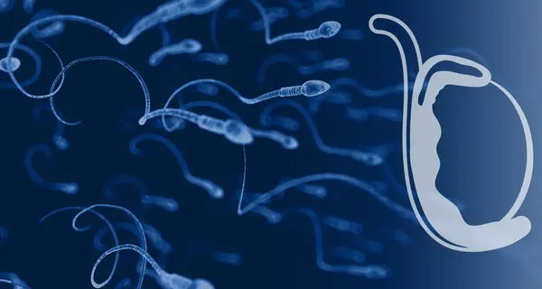 Scientists-are-working-on-Sperm-stopping-Contraceptive-1