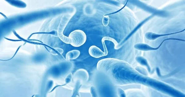 Scientists are working on Sperm-stopping Contraceptive