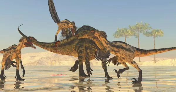 The Teeth of Dinosaurs reveal what they didn’t Eat
