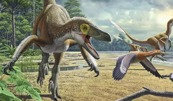 What killed dinosaurs and other life on Earth?