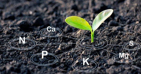 Clay-is-Able-to-Absorb-Carbon-Dioxide-1