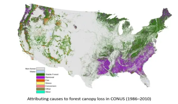 Climate change may cut US forest inventory by a fifth this century