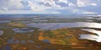 Despite Significant losses in many Regions, Global Wetlands losses are Overestimated
