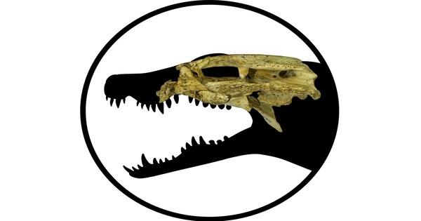 Inside the Skull of one of Australia’s tiniest Fossil Crocodiles