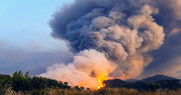 How a Wildfire Affects the Ozone Layer on Earth
