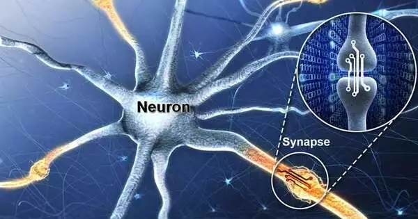 Neuromorphic Memory Device replicates Neurons and Synapses