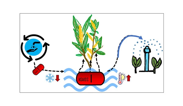 Arming vegetables with anti-inflammatory properties using plant pigments