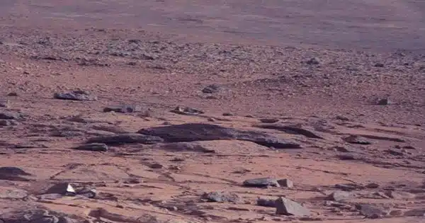 A Pink and Green ‘Plant’ Spotted Growing on Mars has ‘100% Proven’ Alien Life