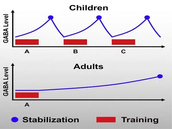 Children learn more quickly than adults