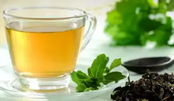 Green tea extract promotes gut health, lowers blood sugar
